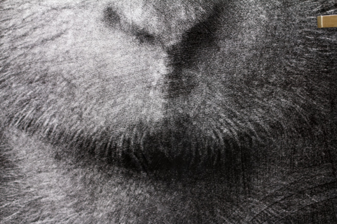 Cool Gray C Frederic Faure Cool Gray C Frederic Faure
